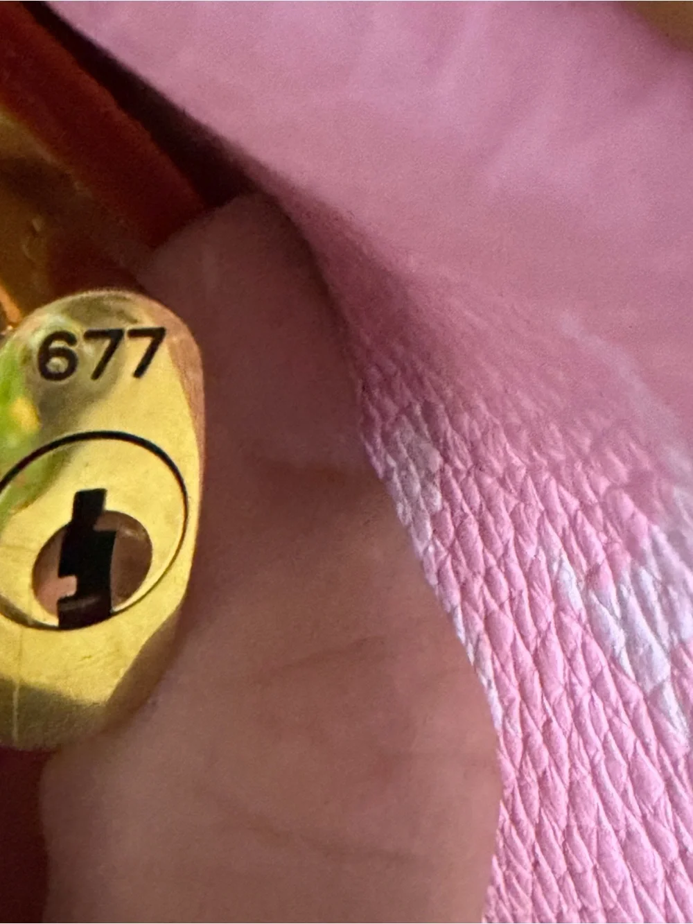 Louis Vuitton soft pink